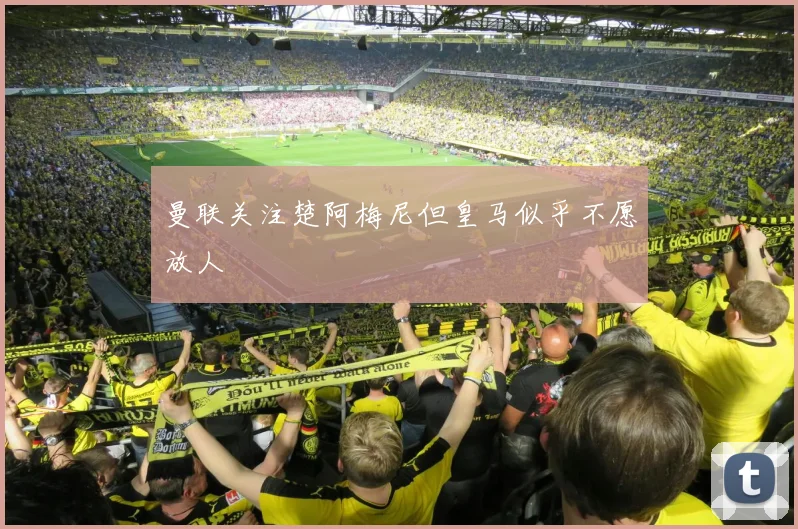 曼联关注楚阿梅尼但皇马似乎不愿放人