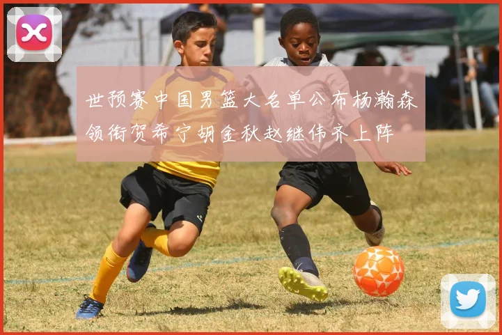 世预赛中国男篮大名单公布杨瀚森领衔贺希宁胡金秋赵继伟齐上阵